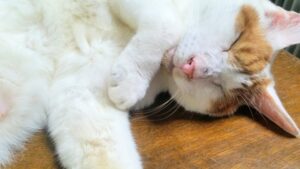 痛みが緩んでいく