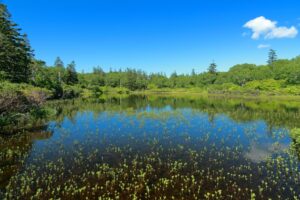 奥深い鍼灸施術