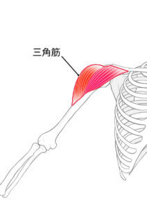 バドミントン選手の肩の痛み