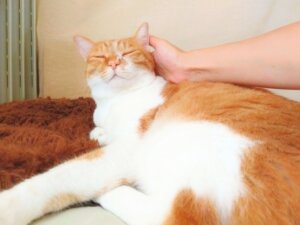 愛される鍼灸院