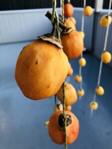 ホットパックの保存方法
