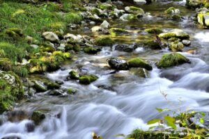 ジャンパー膝（ジャンパーズニー）への針治療