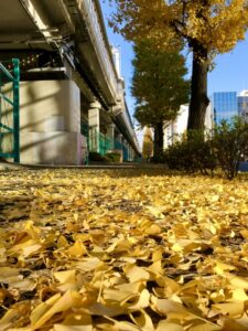 鍼灸師の知名度アップを図ります