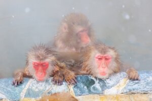 温活にはお風呂が最適