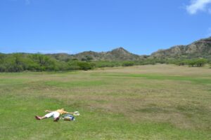 国家資格である鍼灸師