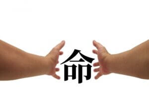 妊娠中の腰痛には鍼灸を