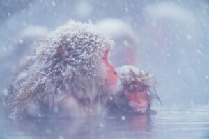 入眠しやすく、熟睡できる