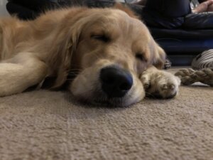 試合後は身体を休める