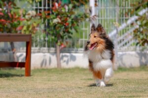 レース後3日間は身体を休めましょう