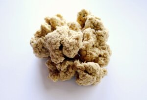 生理痛は針とお灸を併用します