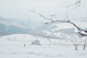 血流改善する鍼灸
