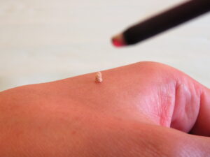 艾(もぐさ=ヨモギ)