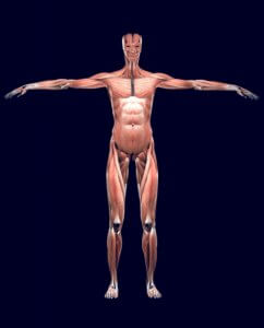 全身治療します