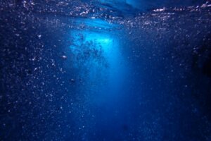 身体の深部にある腸腰筋