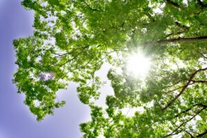 腸腰筋が緩めば腰痛も解消