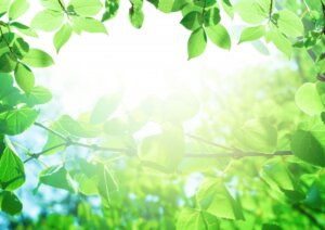 全身に血液を行き渡らせる