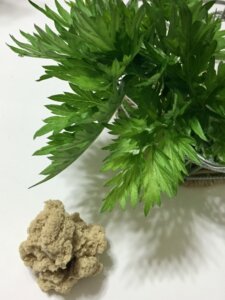 艾(モグサ)を使ったお灸を使用します