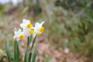 人気店・有名店になるのは難しい
