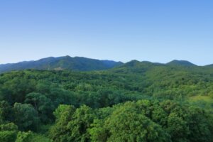 海田市駅からも距離のある鍼灸院