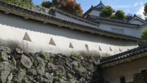 免疫力は身体の防御反応