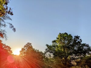 朝活を行う鍼灸師