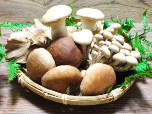 免疫力を上げる鍼灸