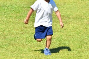 丈夫な身体を作る鍼灸