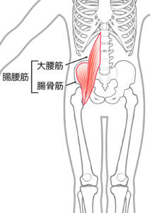 インナーマッスル（深層筋）
