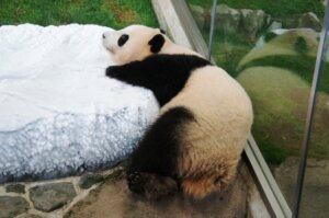 鍼灸師は一生涯出来る仕事