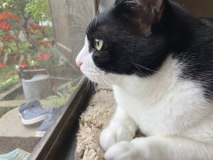 首を緩めると目が楽になる