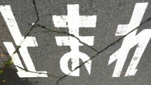 ブレーキの役割を果たす大腿四頭筋