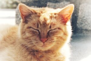 身体がぽかぽか温まる