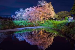 認知度を上げたい