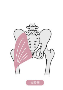 インナーマッスル