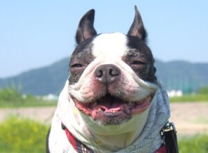 お待ちしています