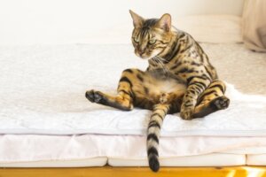 次回予約の強要や回数券の売り込みは格好悪い